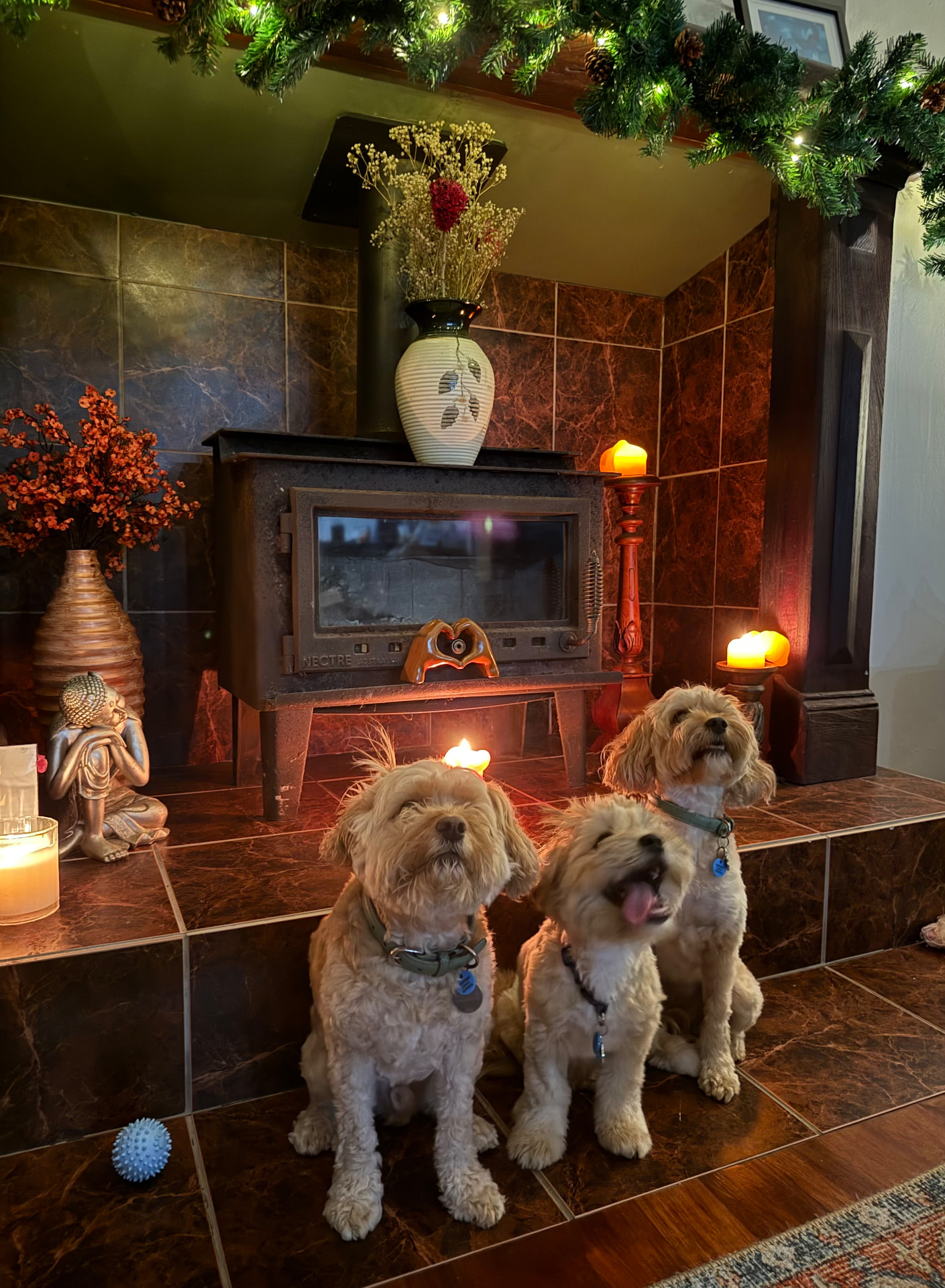 Three much-loved family dogs gathered in front of a wood fireplace